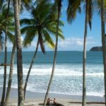 1-flamingo-beach-istock-000000054931-1024×644