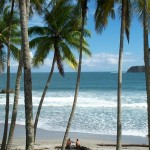 1-flamingo-beach-istock-000000054931-150×150