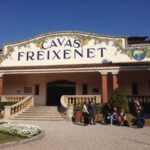 Cavas Freixenet