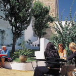 vejer1