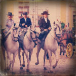 14387655210_c87aa3a0dc_z