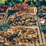 mushroom-varieties3