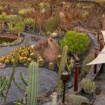 jardin_de_cactus-lanzarote_0-940×200