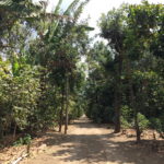 walk through the azotea farm