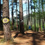 800px-Bosque_de_Oma_(22)