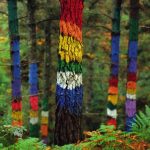los-mejores-bosques-en-espana-para-perderse