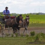 argentina-111883_960_720